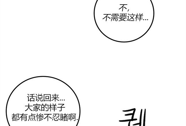 第 135 页