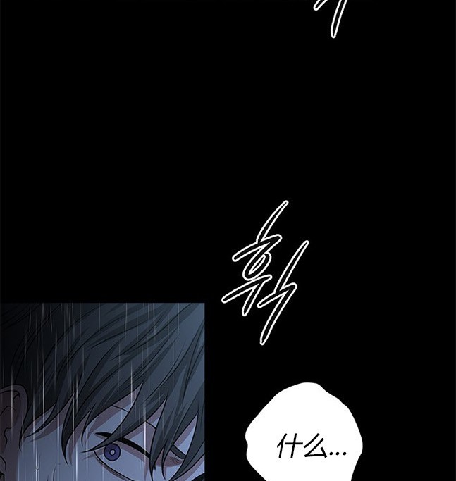 第 111 页
