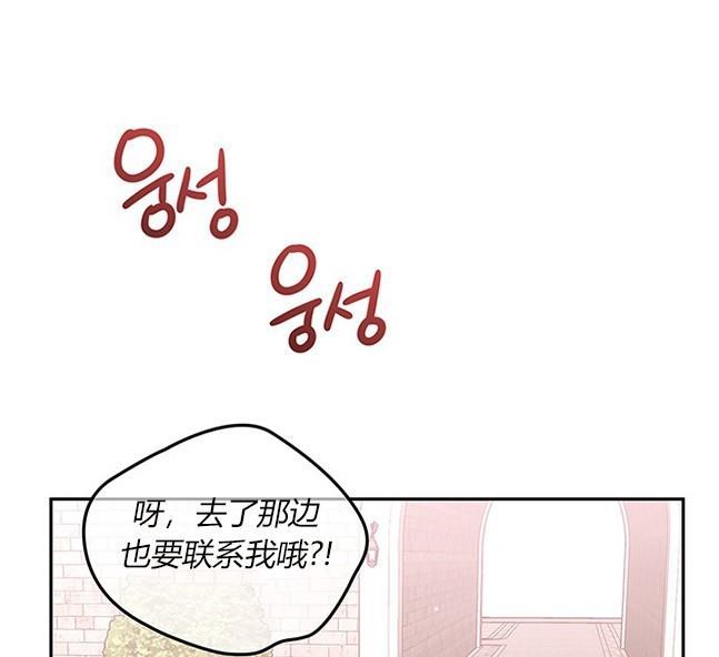 第 135 页