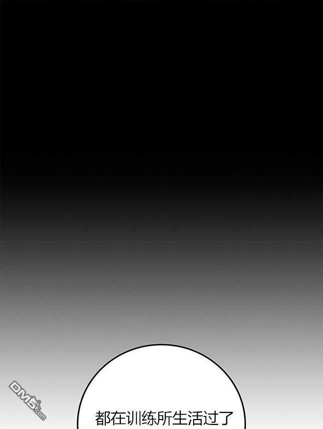 第 48 页