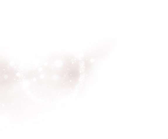 第 115 页