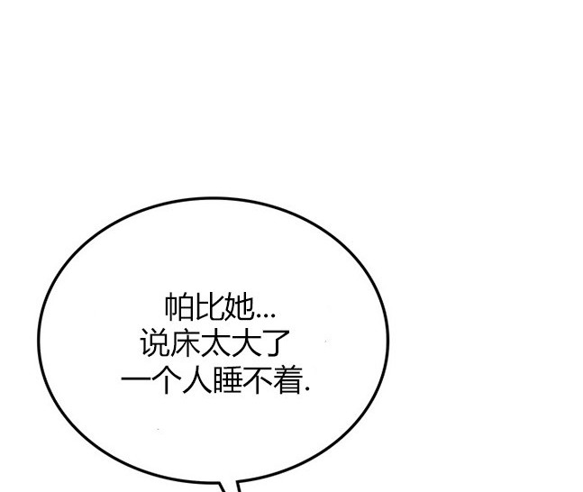 第 97 页