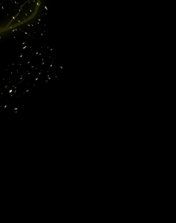 第 171 页