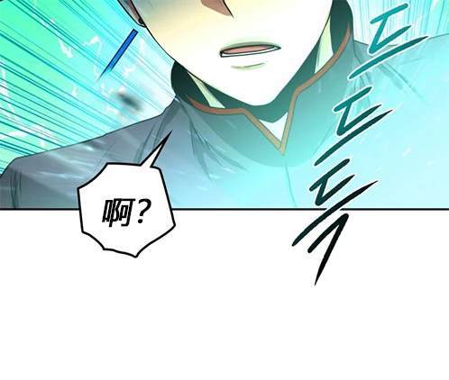 第 111 页