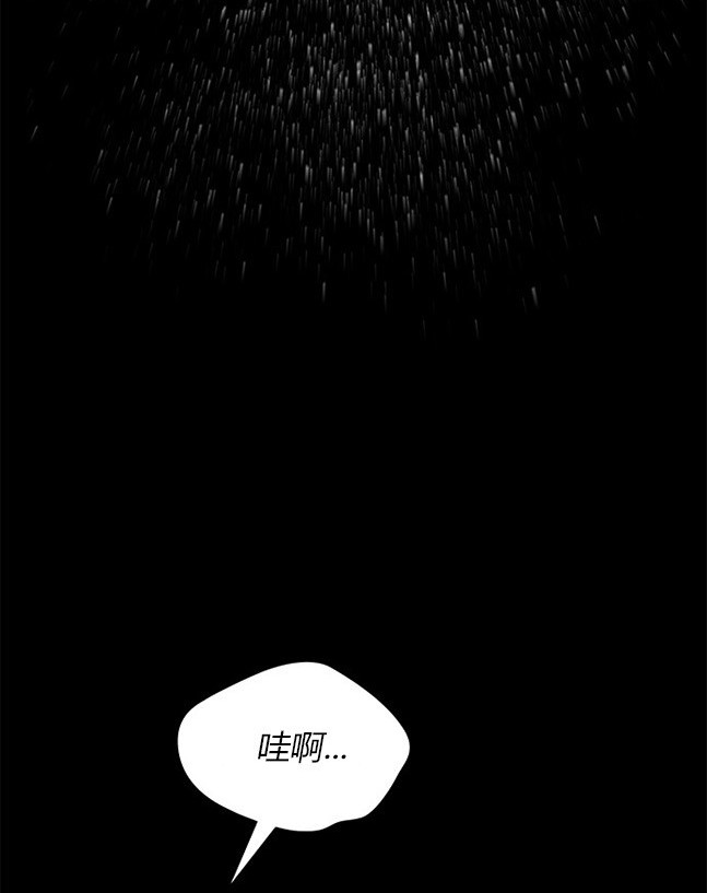 第 96 页