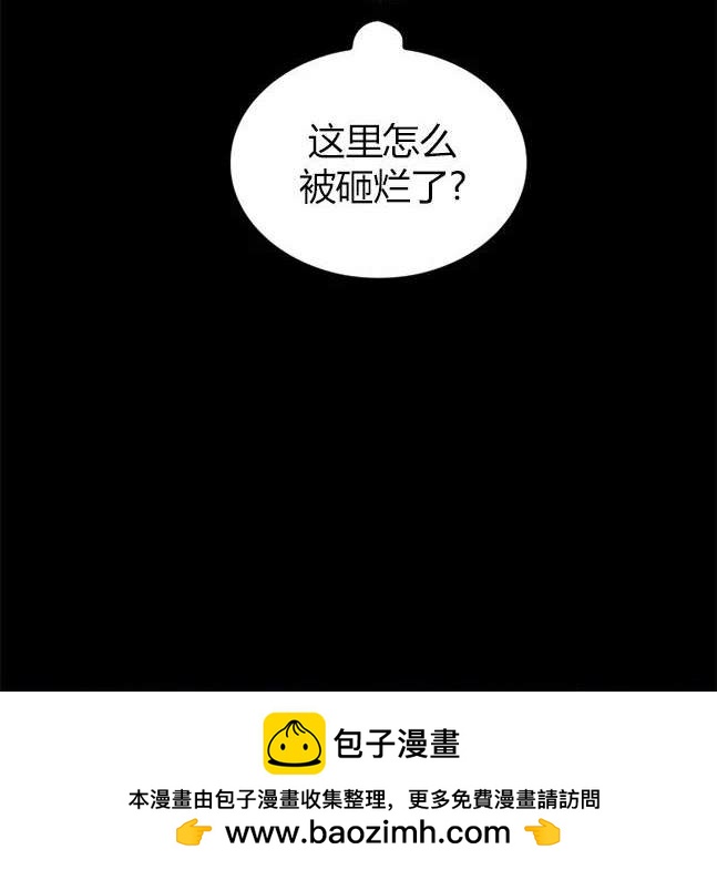 第 100 页