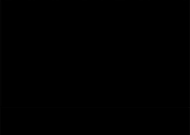 第 161 页