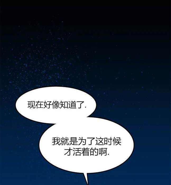第 113 页
