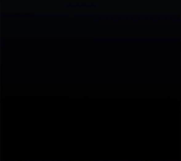 第 96 页