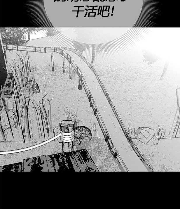 第 135 页