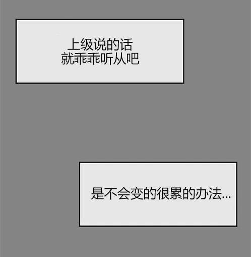 第 113 页