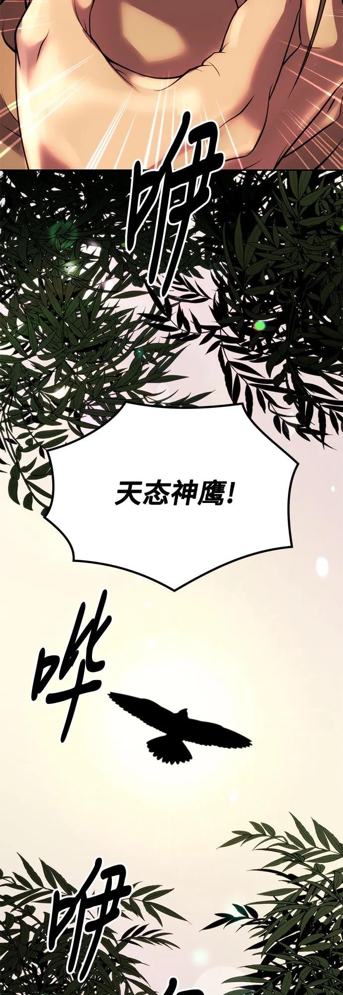 第 88 页