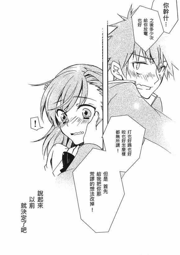 第 28 页