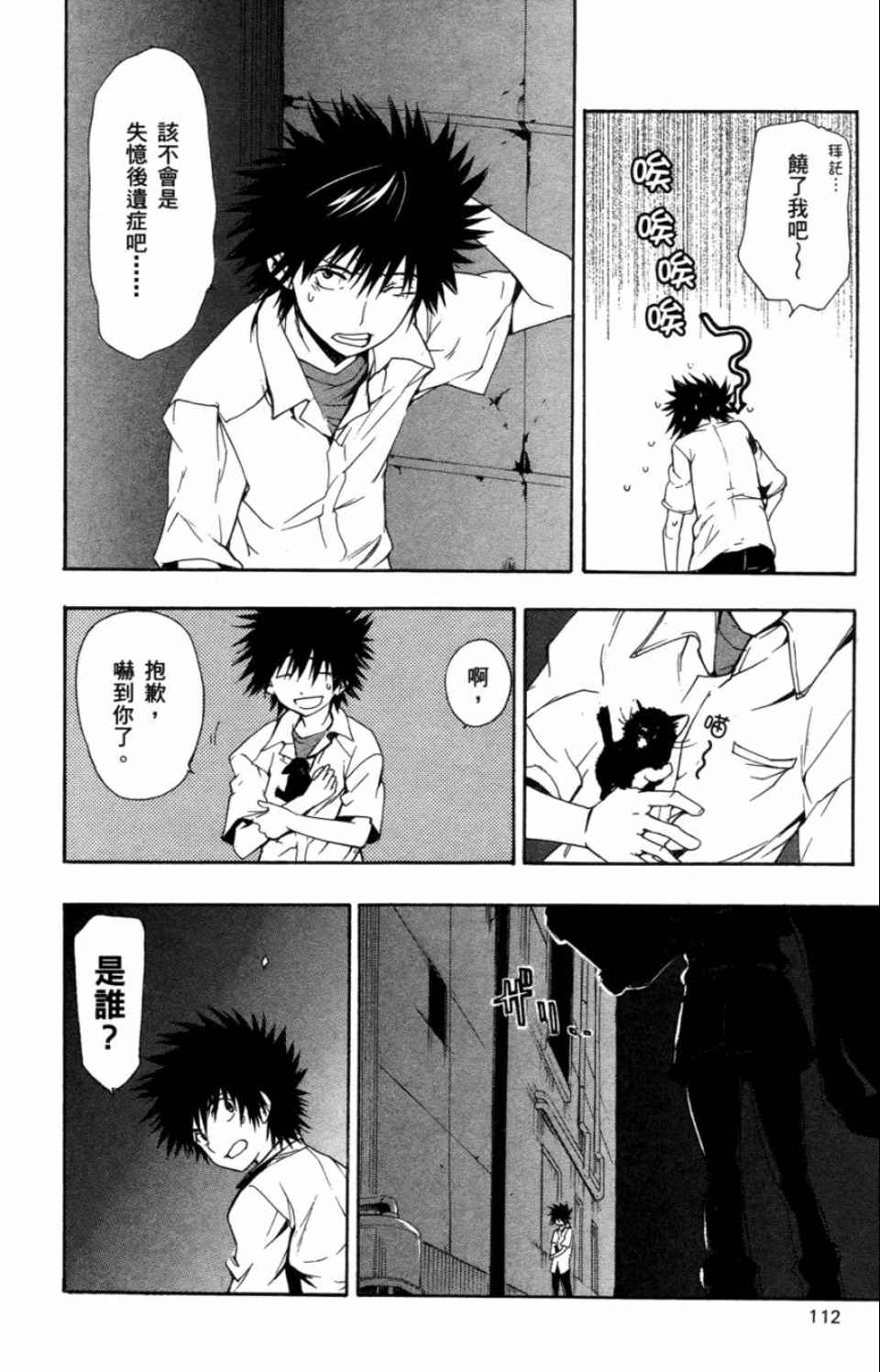 第 113 页