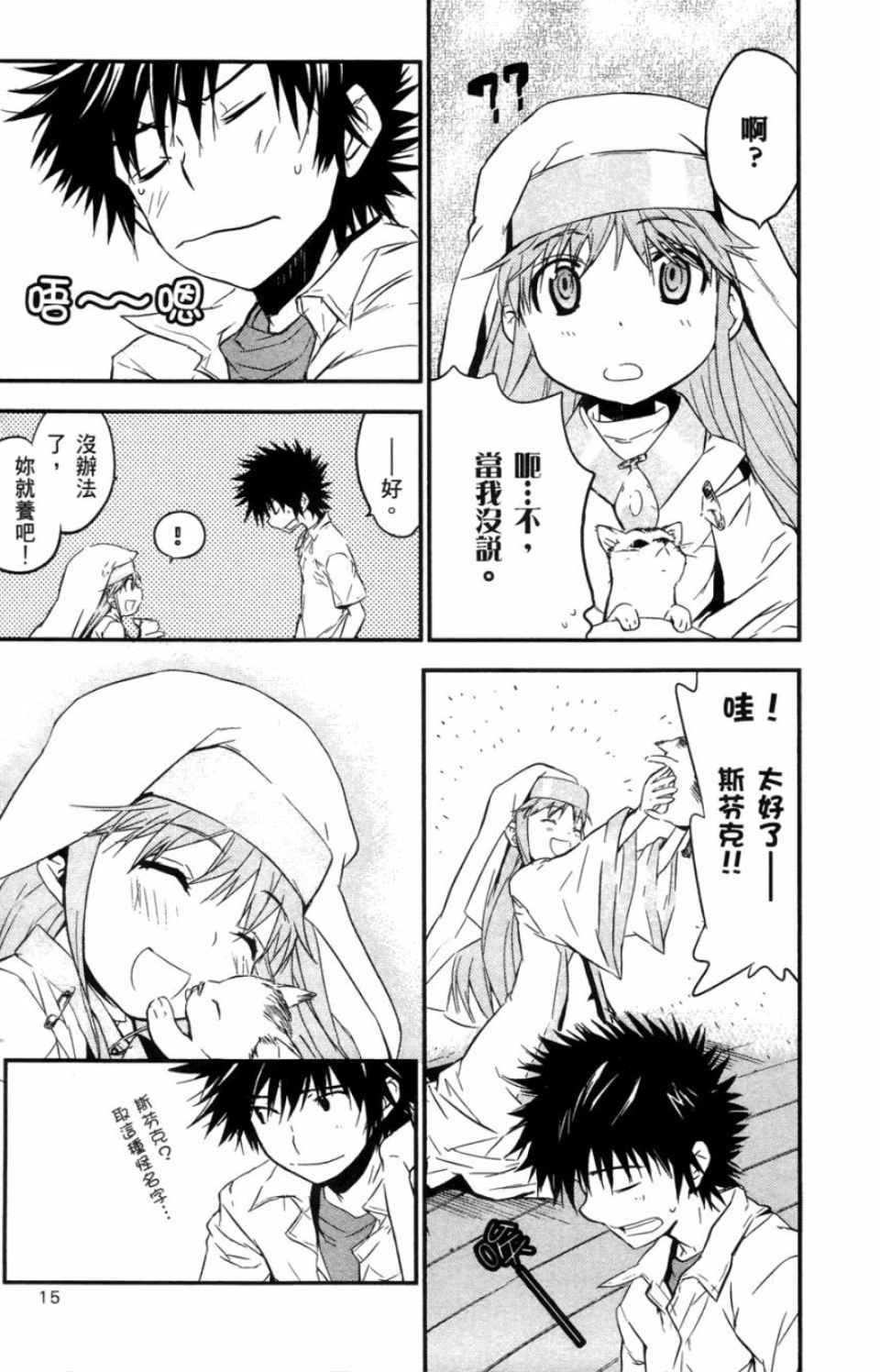 第 17 页