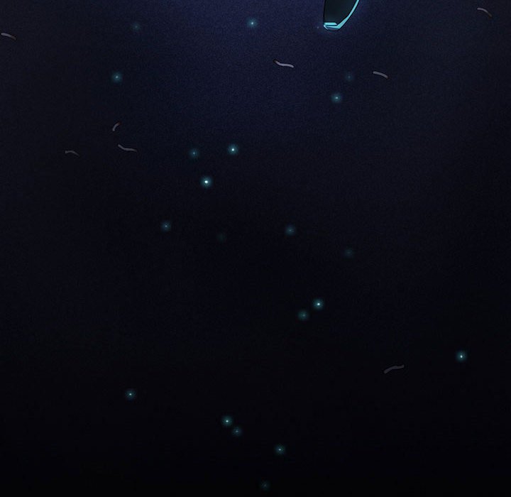 第 102 页
