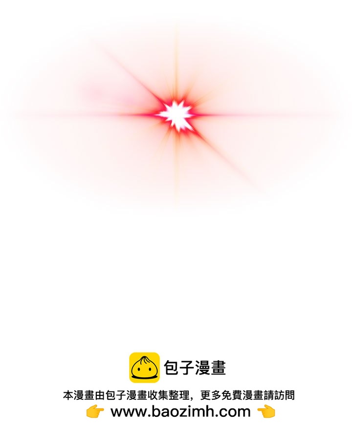 第 100 页