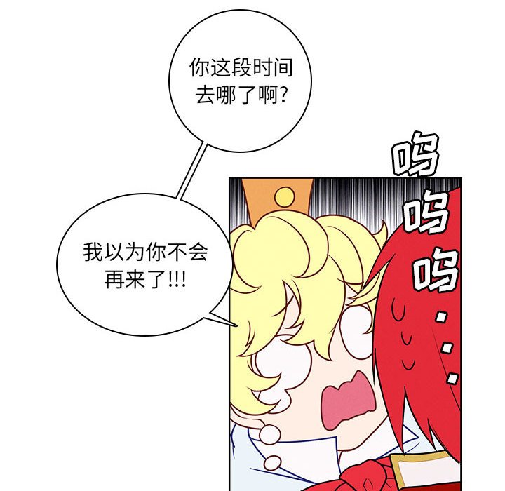 第 91 页