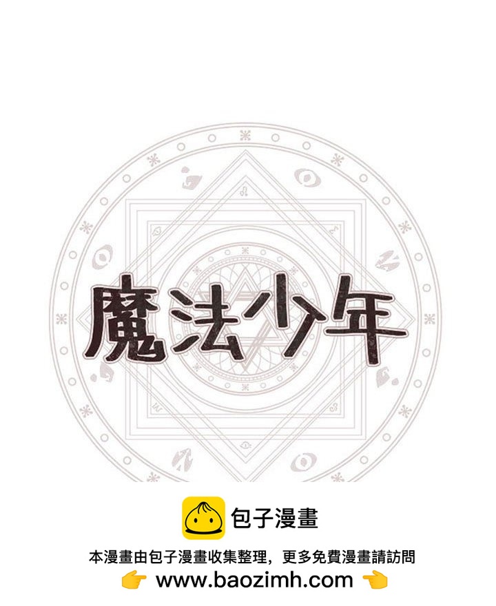第 100 页