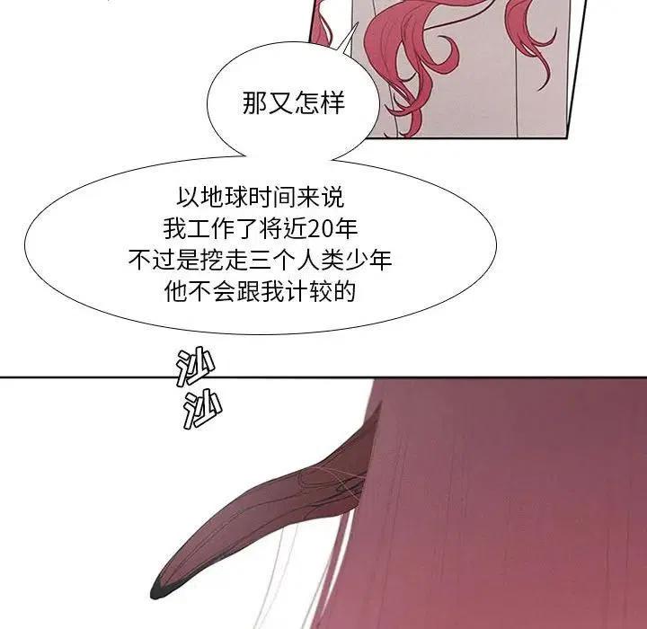 第 41 页