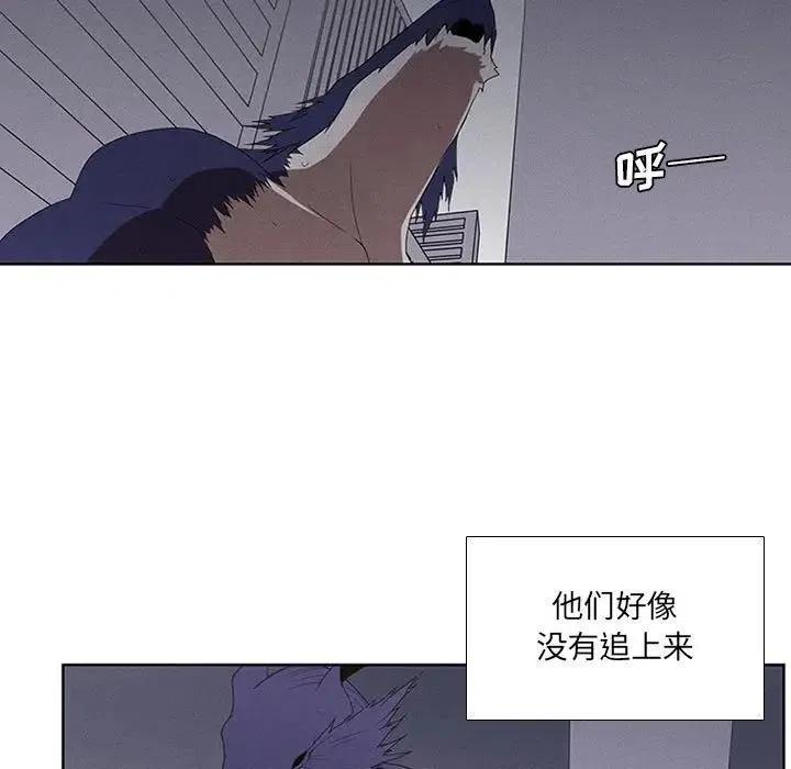第 41 页