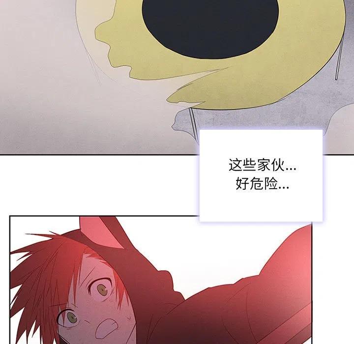 第 51 页