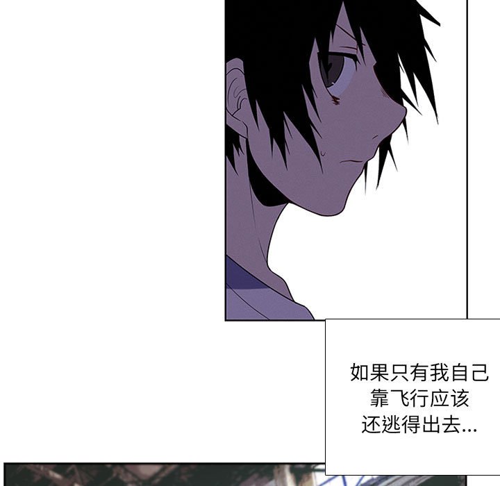 第 55 页