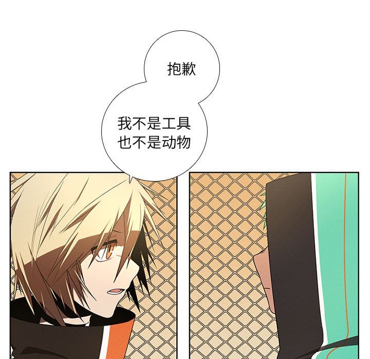第 51 页