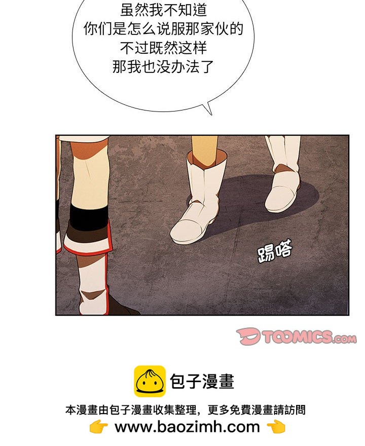第 68 页