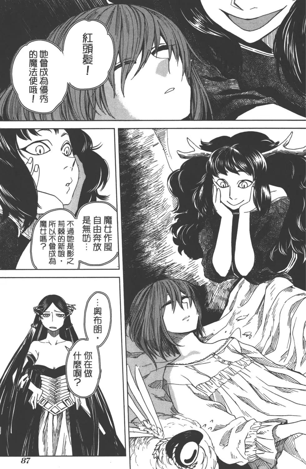 第 91 页