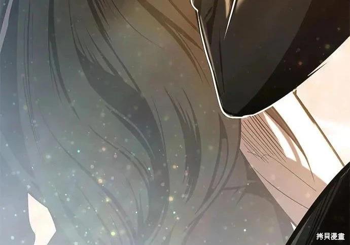 第 245 页