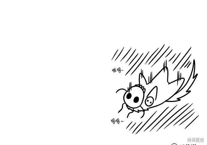 第 260 页