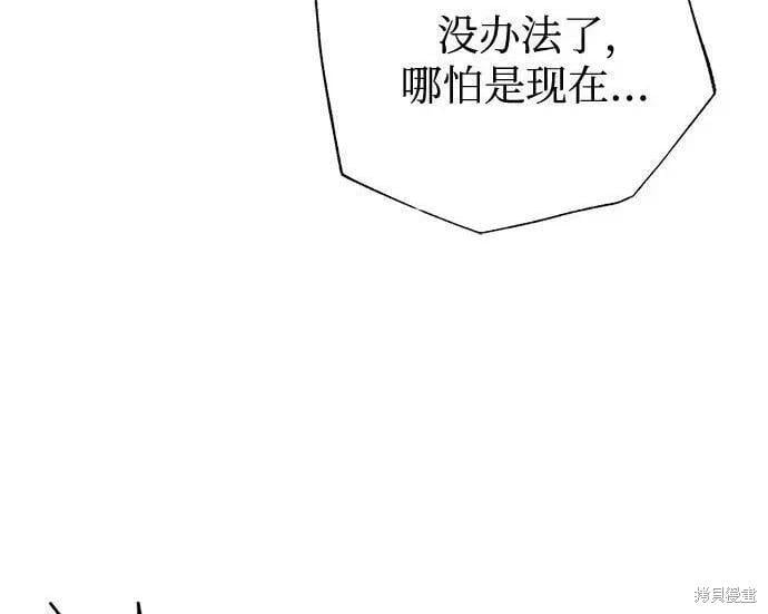 第 204 页