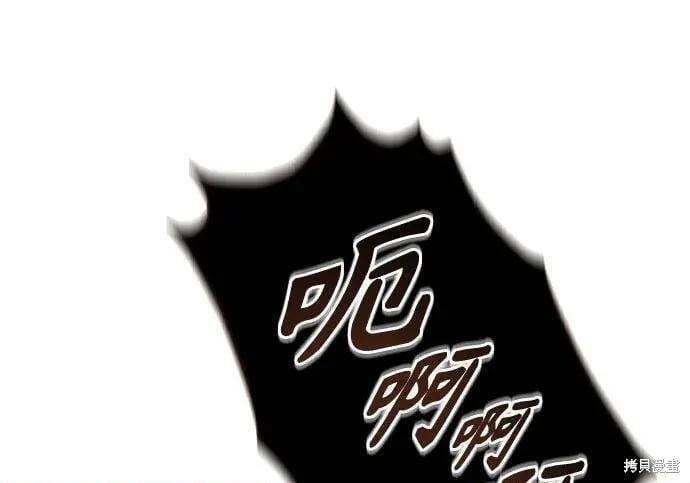 第 213 页