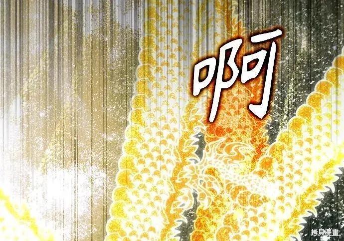 第 238 页