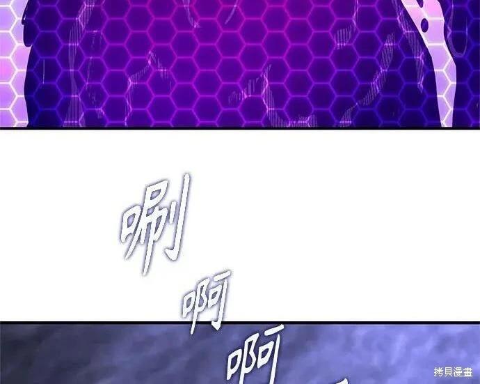 第 209 页