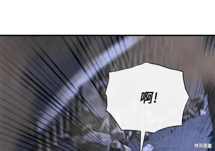 第 223 页