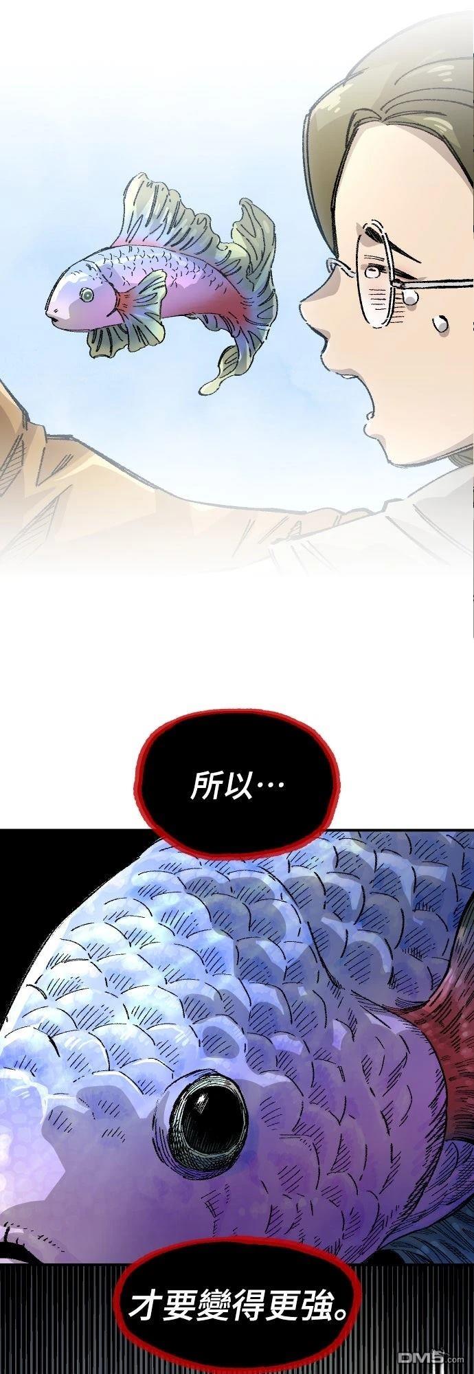 第 63 页
