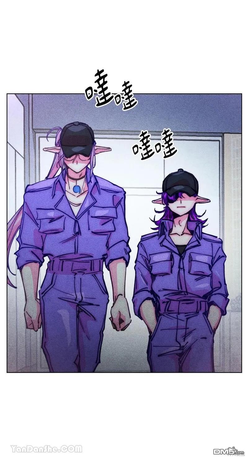 第 41 页