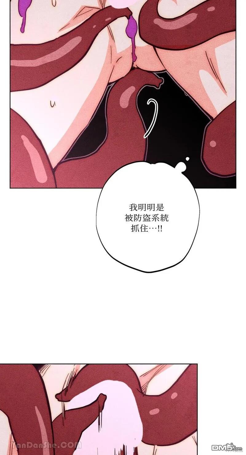 第 51 页