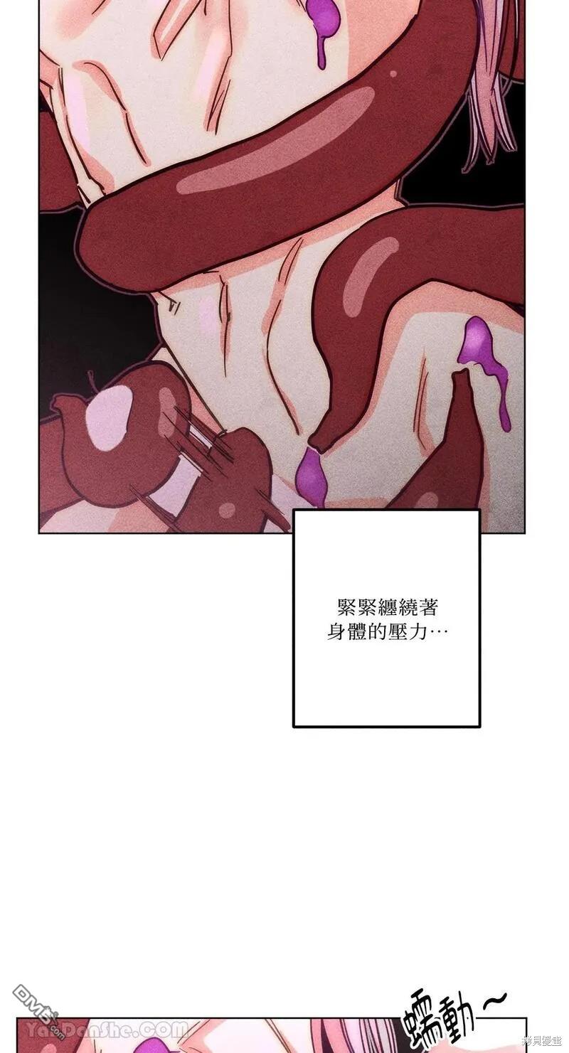 第 53 页