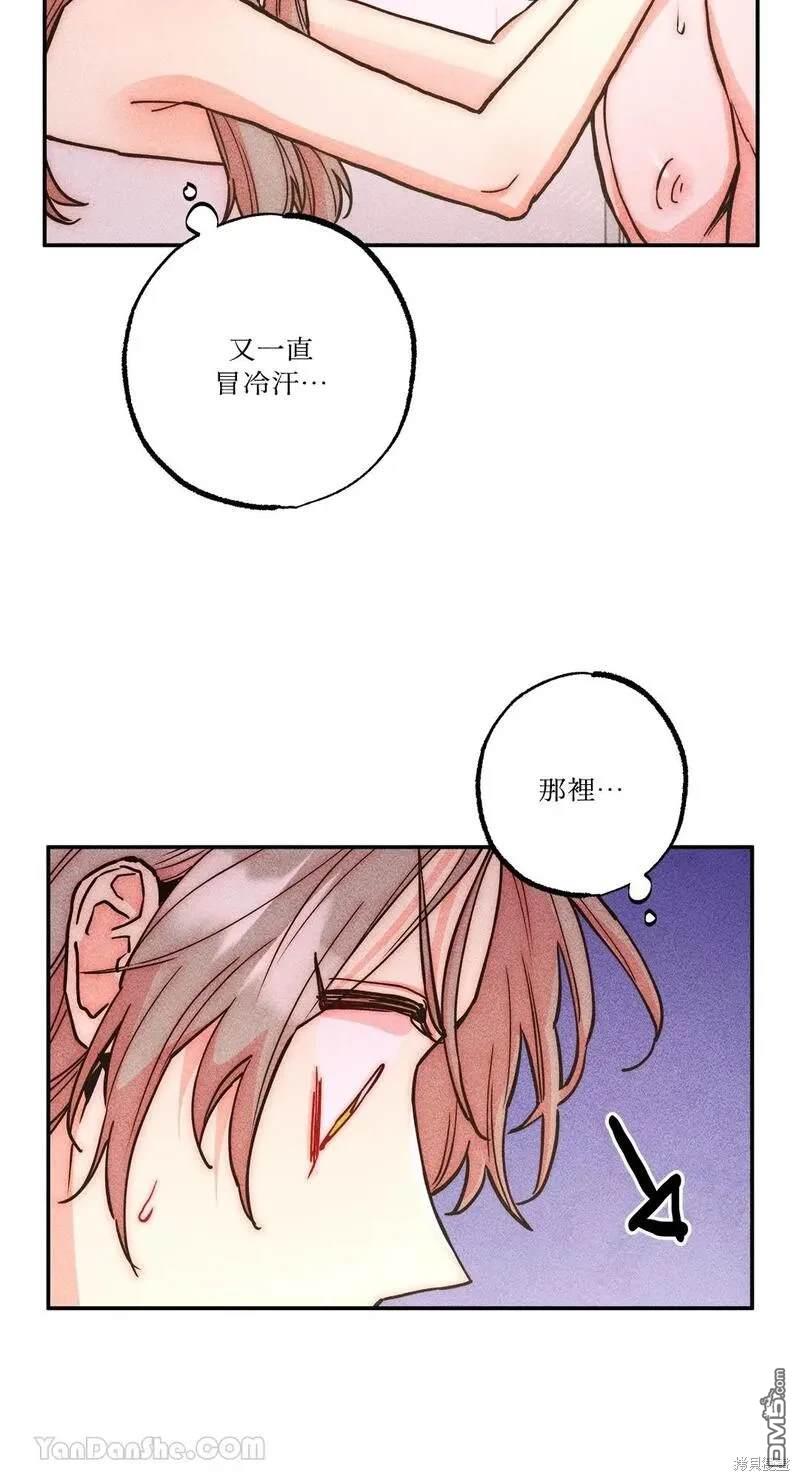 第 41 页