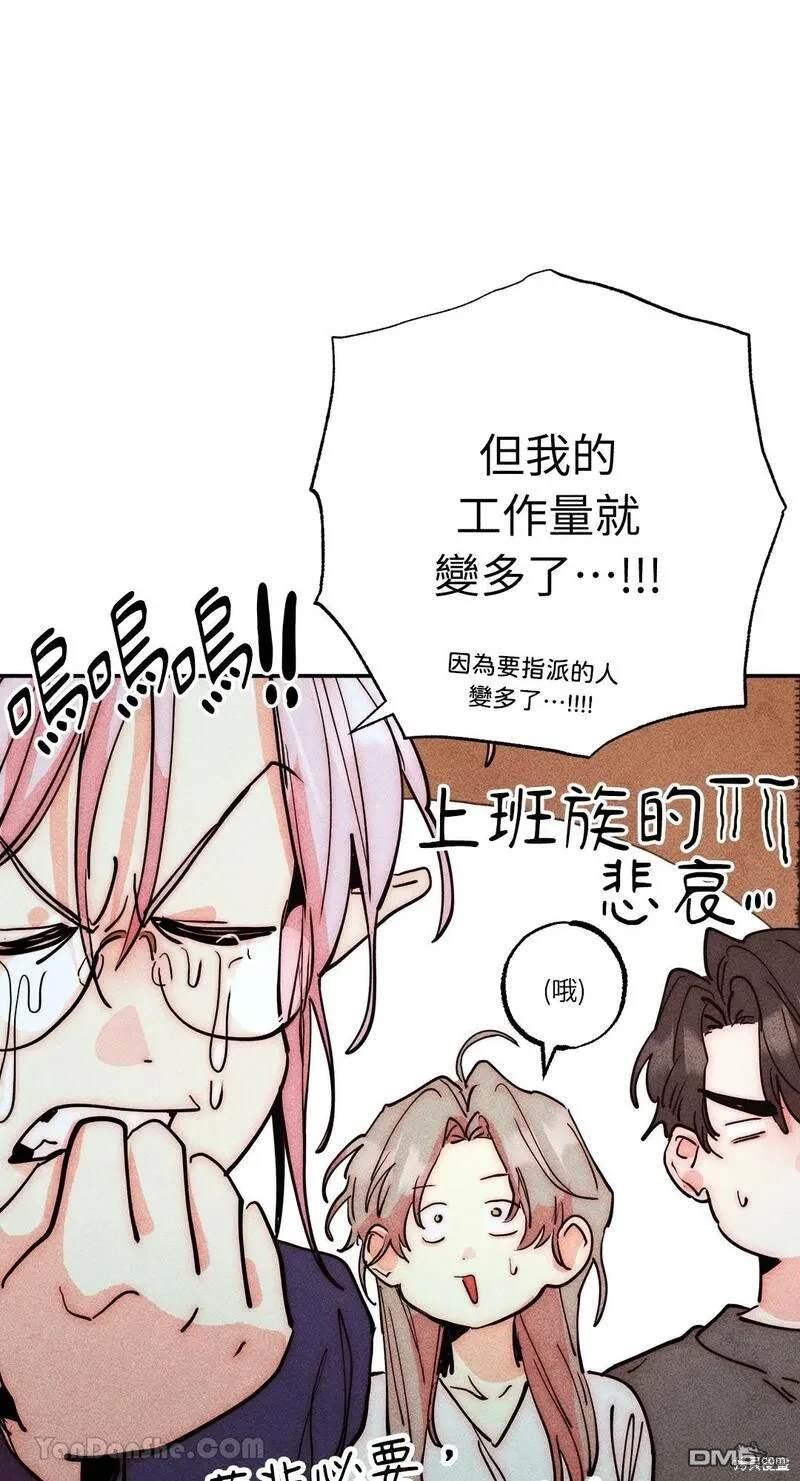 第 53 页
