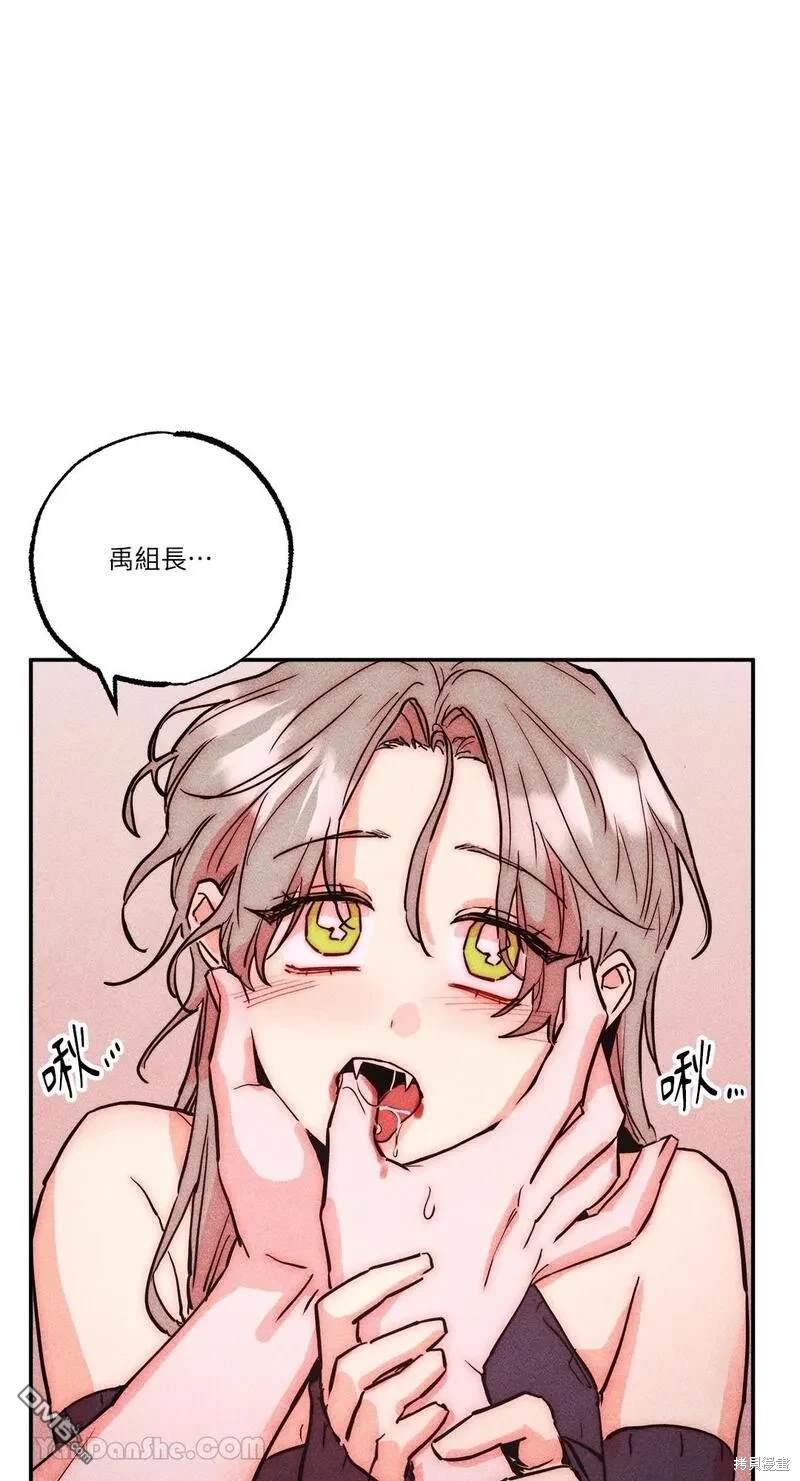 第 41 页
