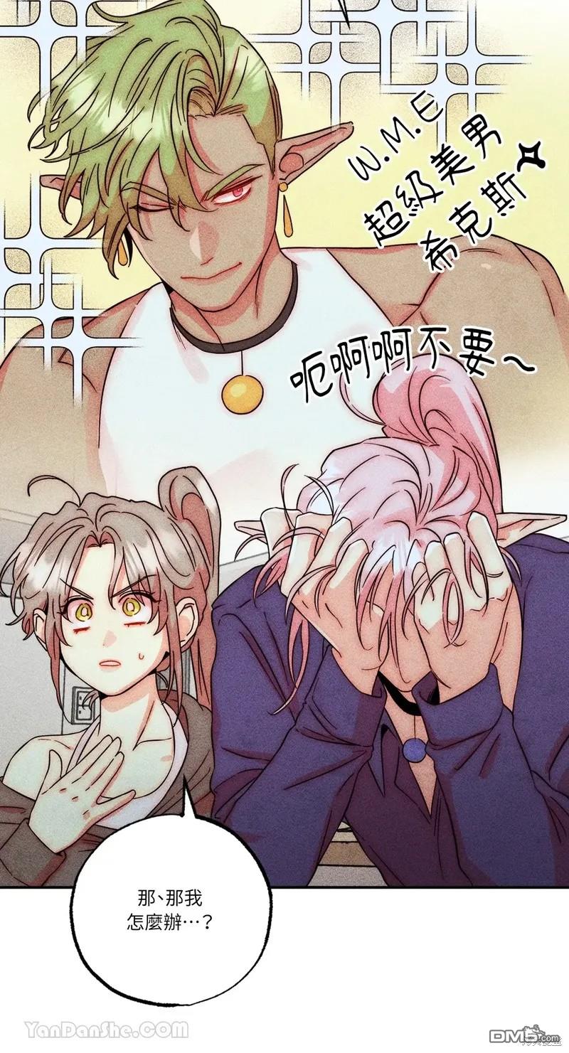 第 41 页