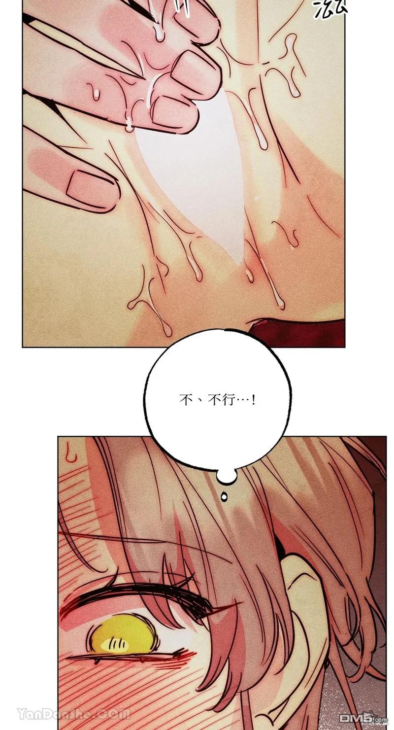 第 61 页