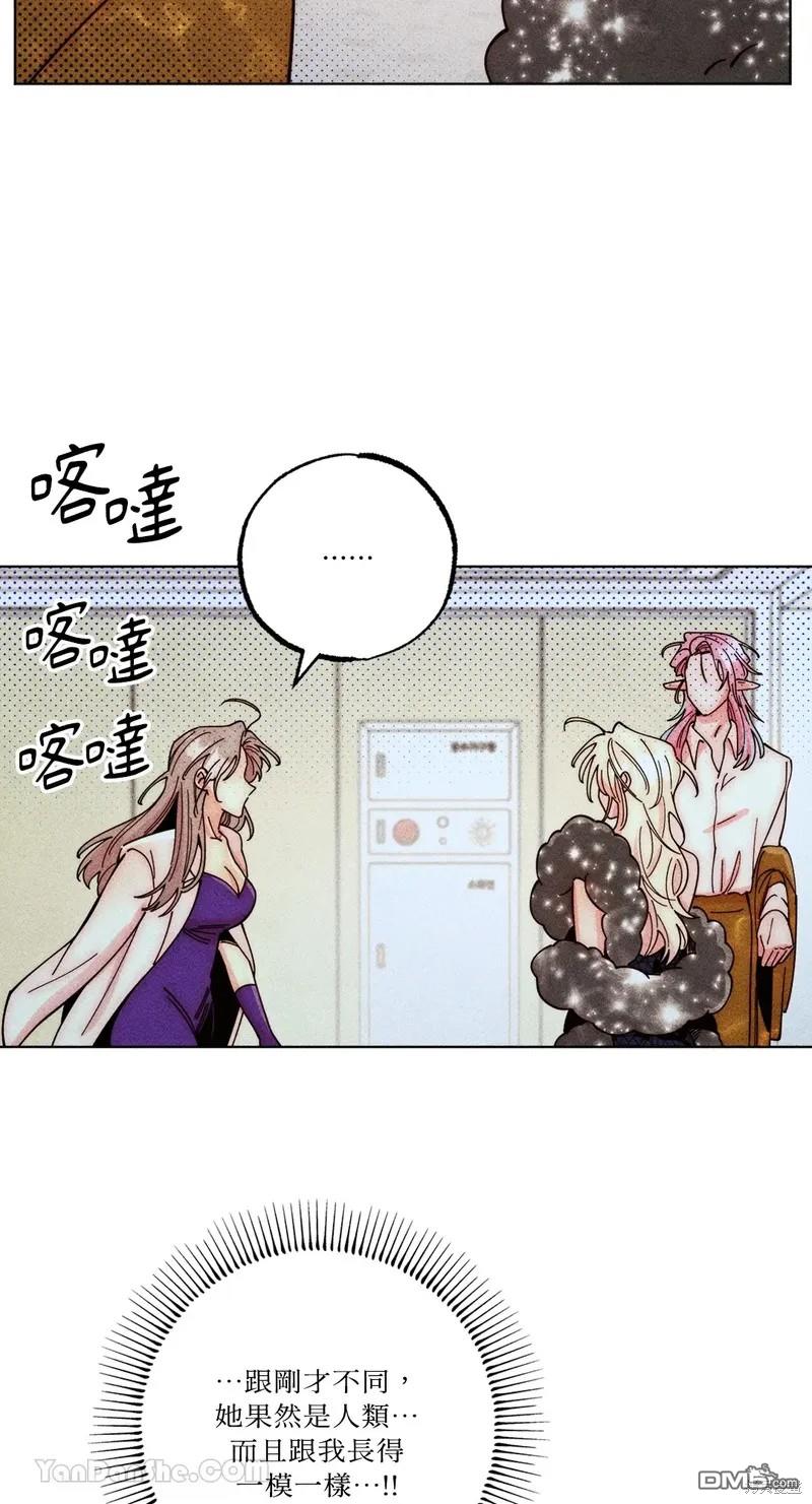 第 51 页