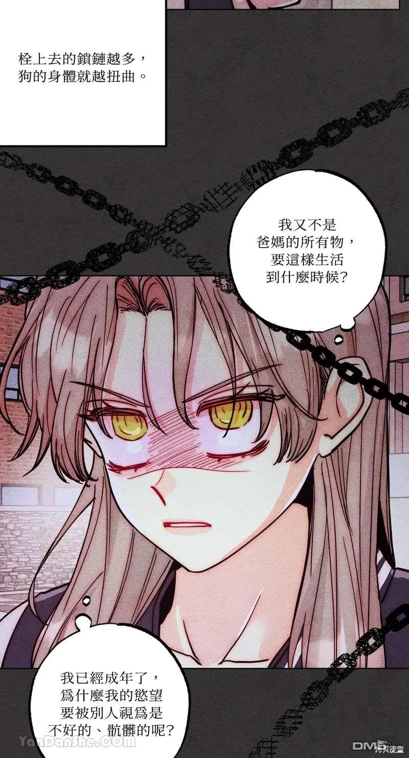 第 31 页