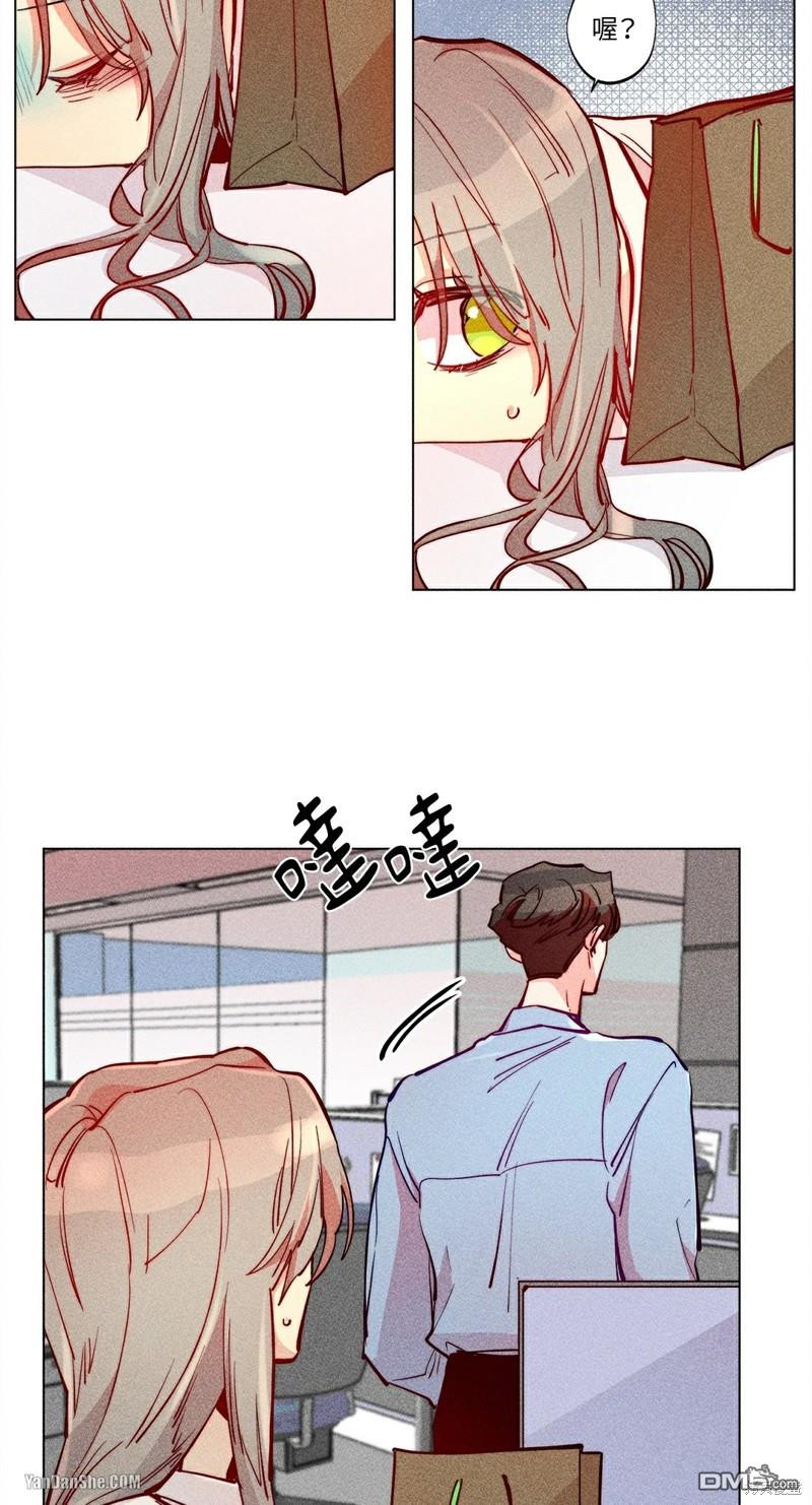 第 28 页