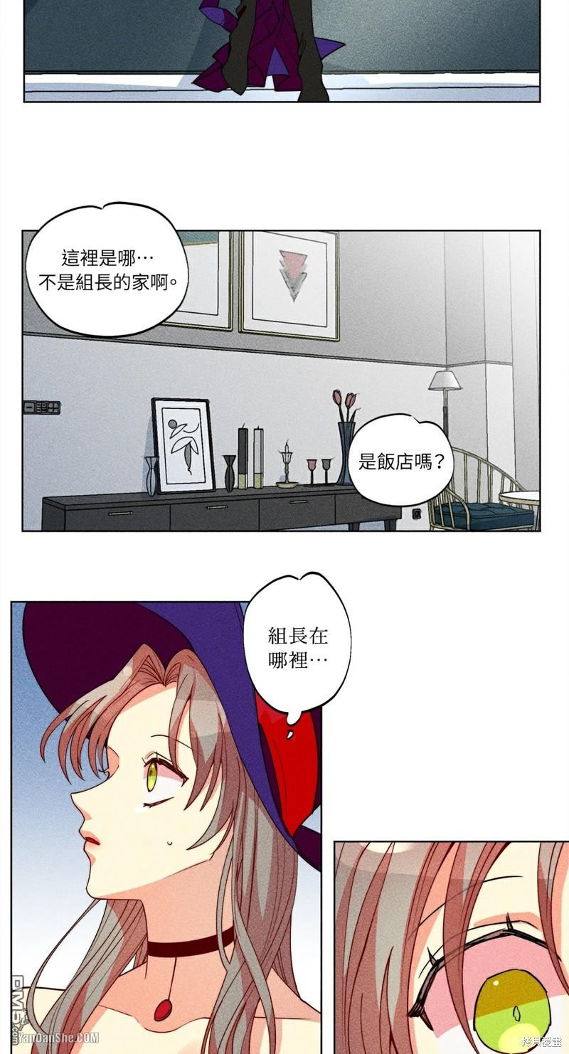 第 26 页